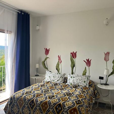 B&B Le Cicale Vieste Bagian luar foto