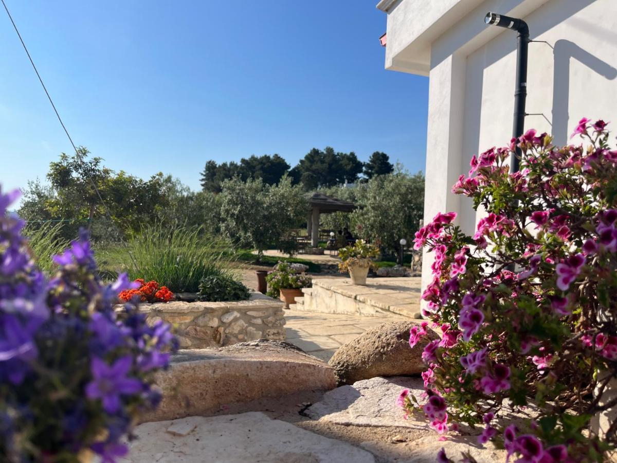 B&B Le Cicale Vieste Bagian luar foto