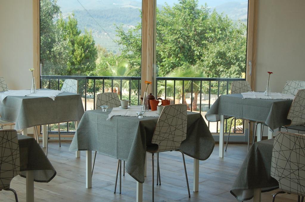 B&B Le Cicale Vieste Bagian luar foto