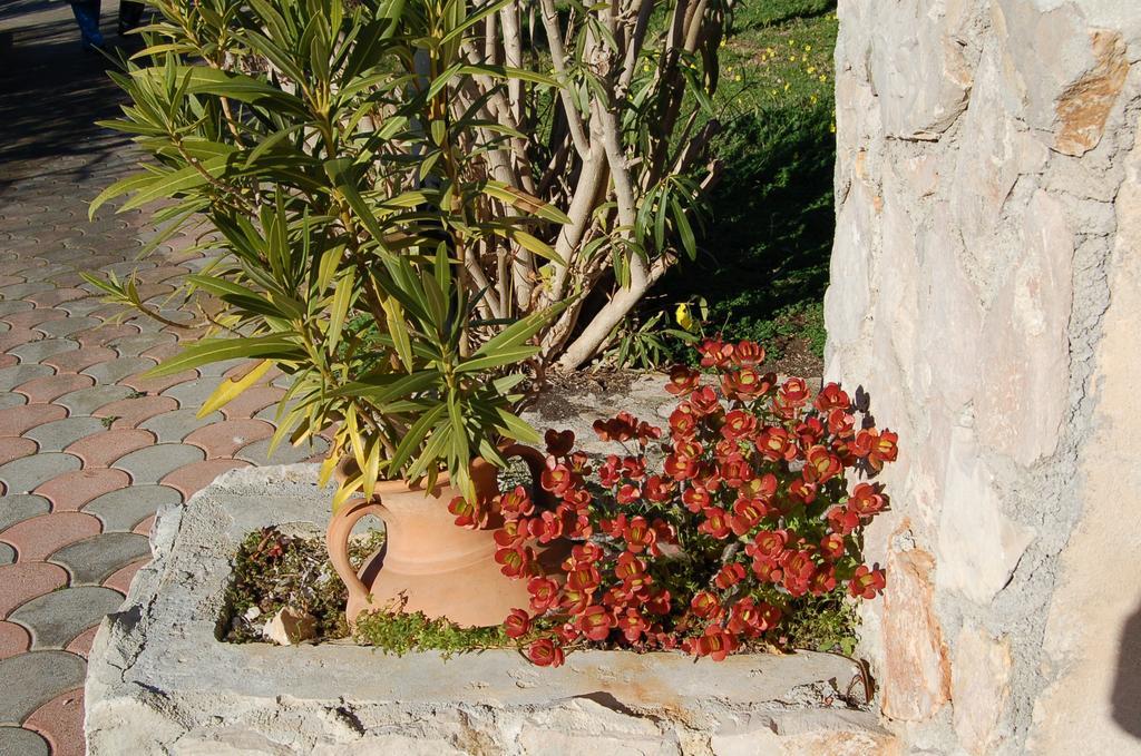 B&B Le Cicale Vieste Bagian luar foto